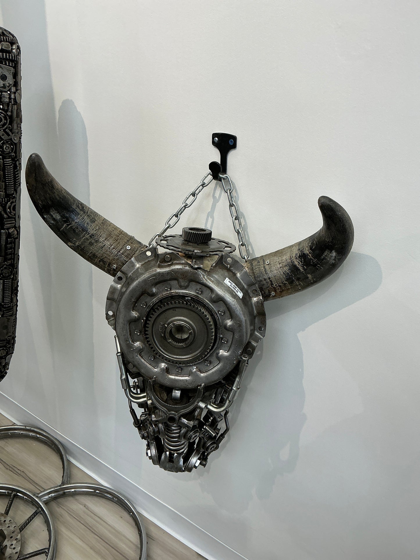 Bull skull S177 angle view