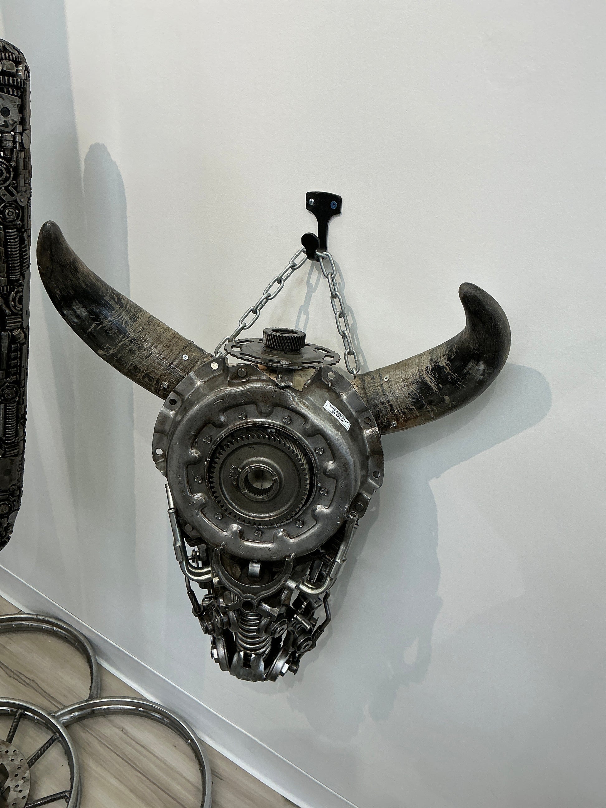 Bull skull S177 angle view