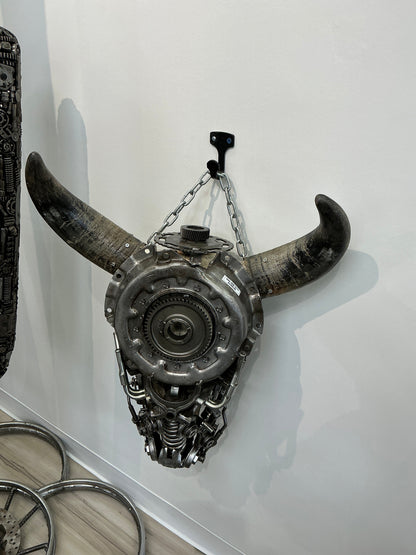 Bull skull S177 angle view