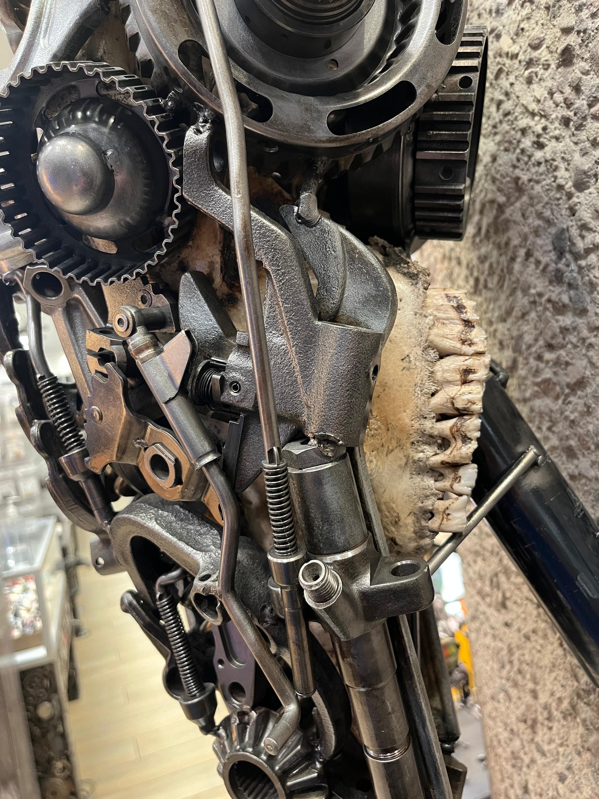 Bull skull S103 detail