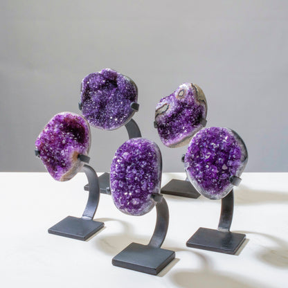 Large Uruguayan Amethyst Geode on Custom Stand - 10" / 5.5 lbs — Vault 88
