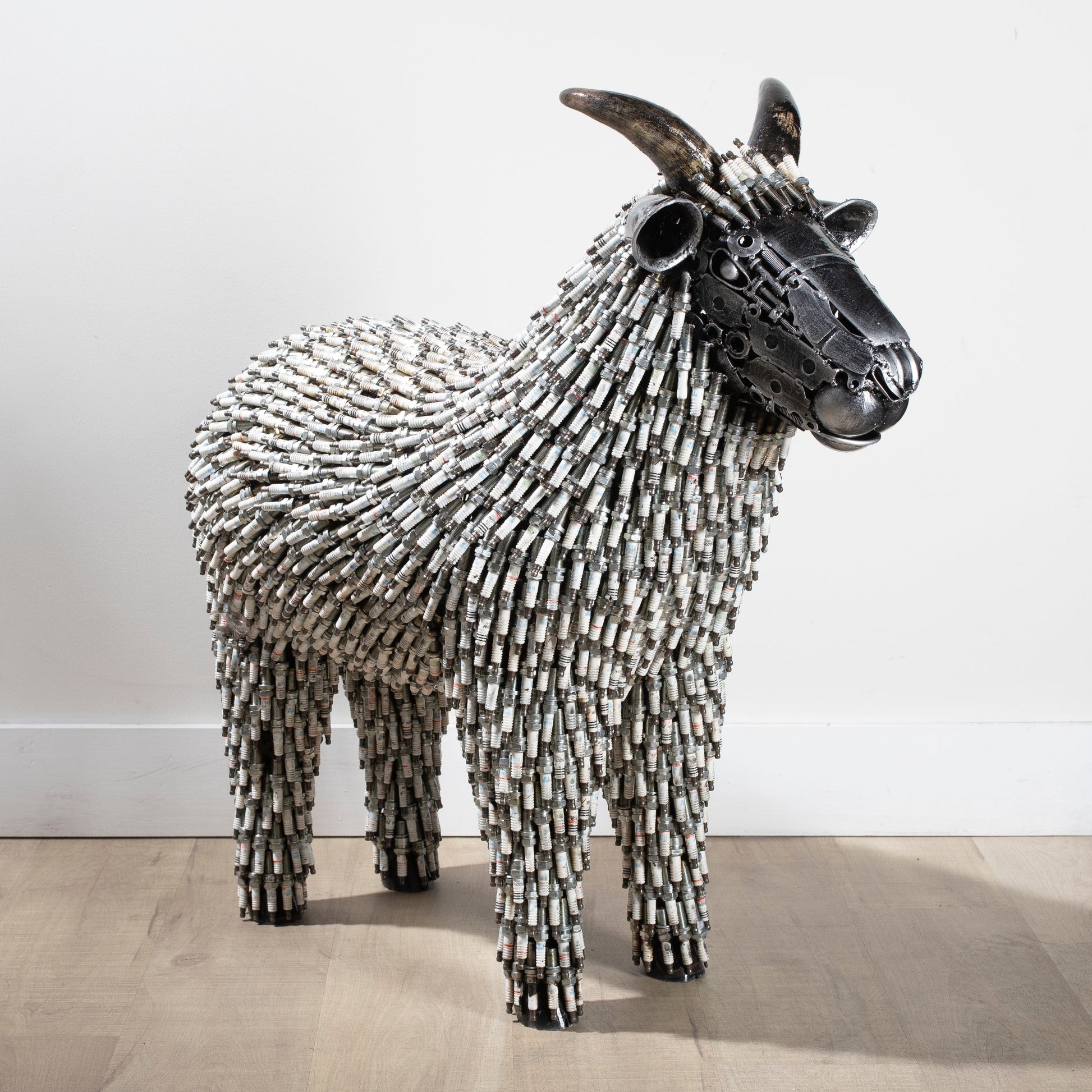 Large spark plug sheep side view