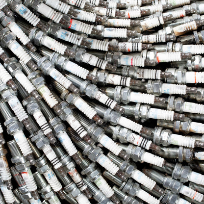 Large spark plug sheep full view