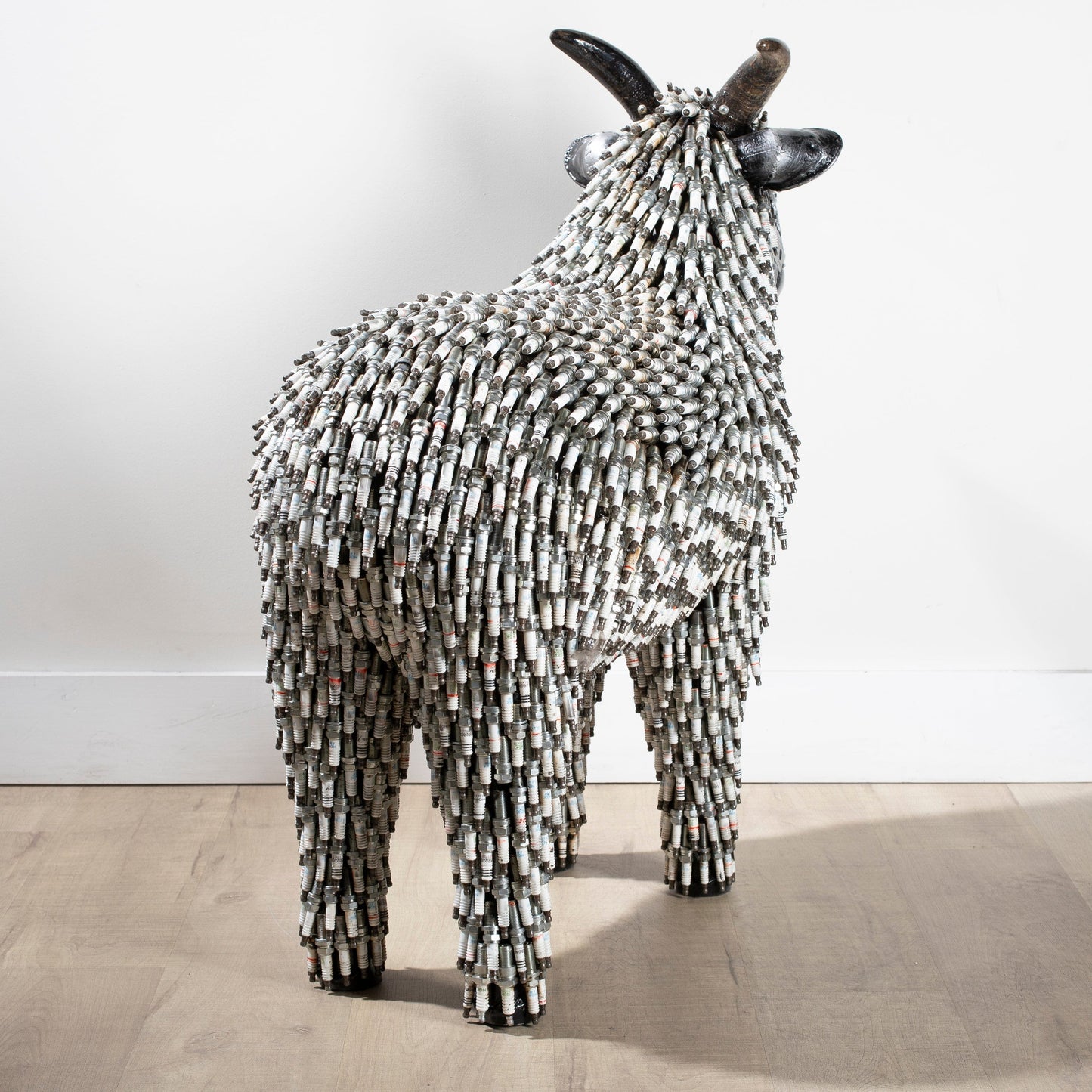 Large spark plug sheep rear view