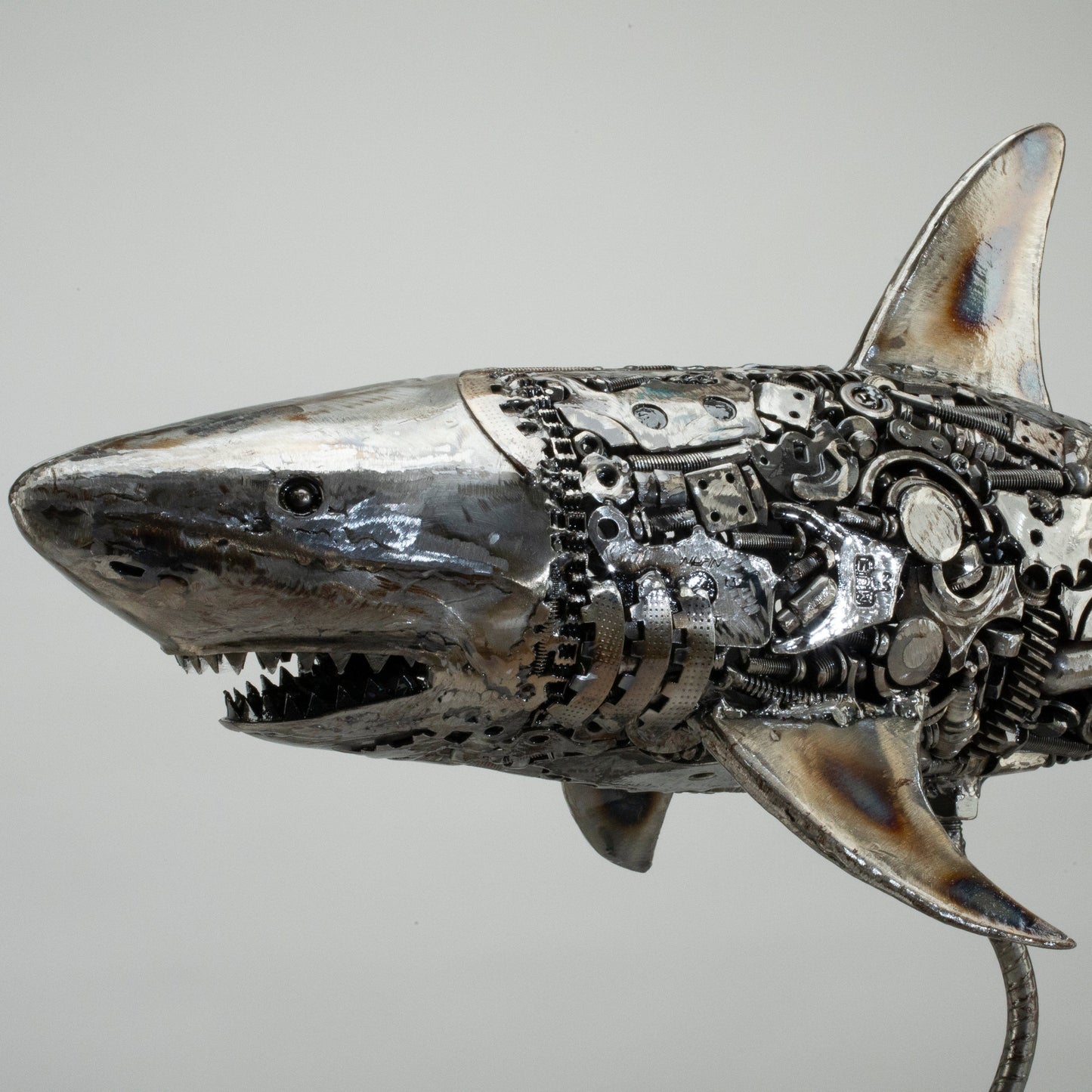 Great white shark sculpture angle view