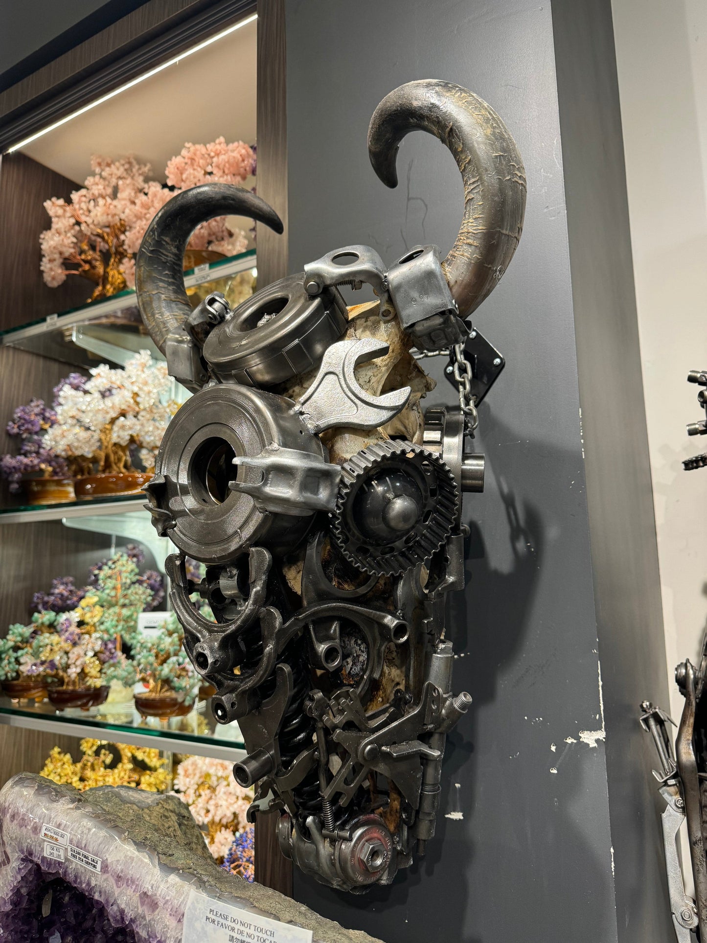 Bull skull S112 side view