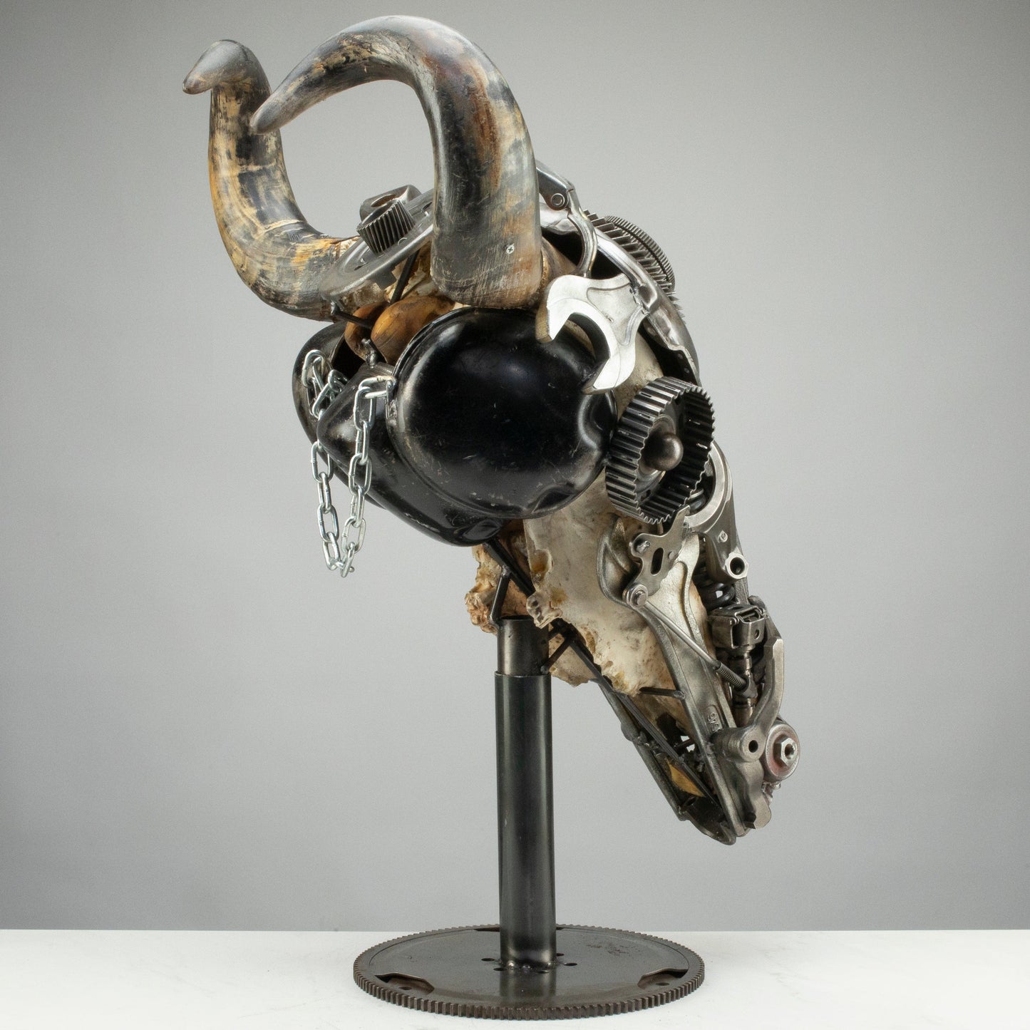 Bull skull S157 detail