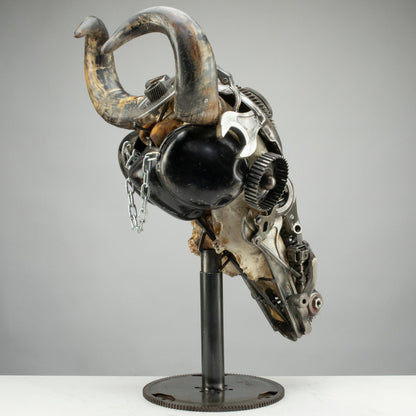 Bull skull S157 detail