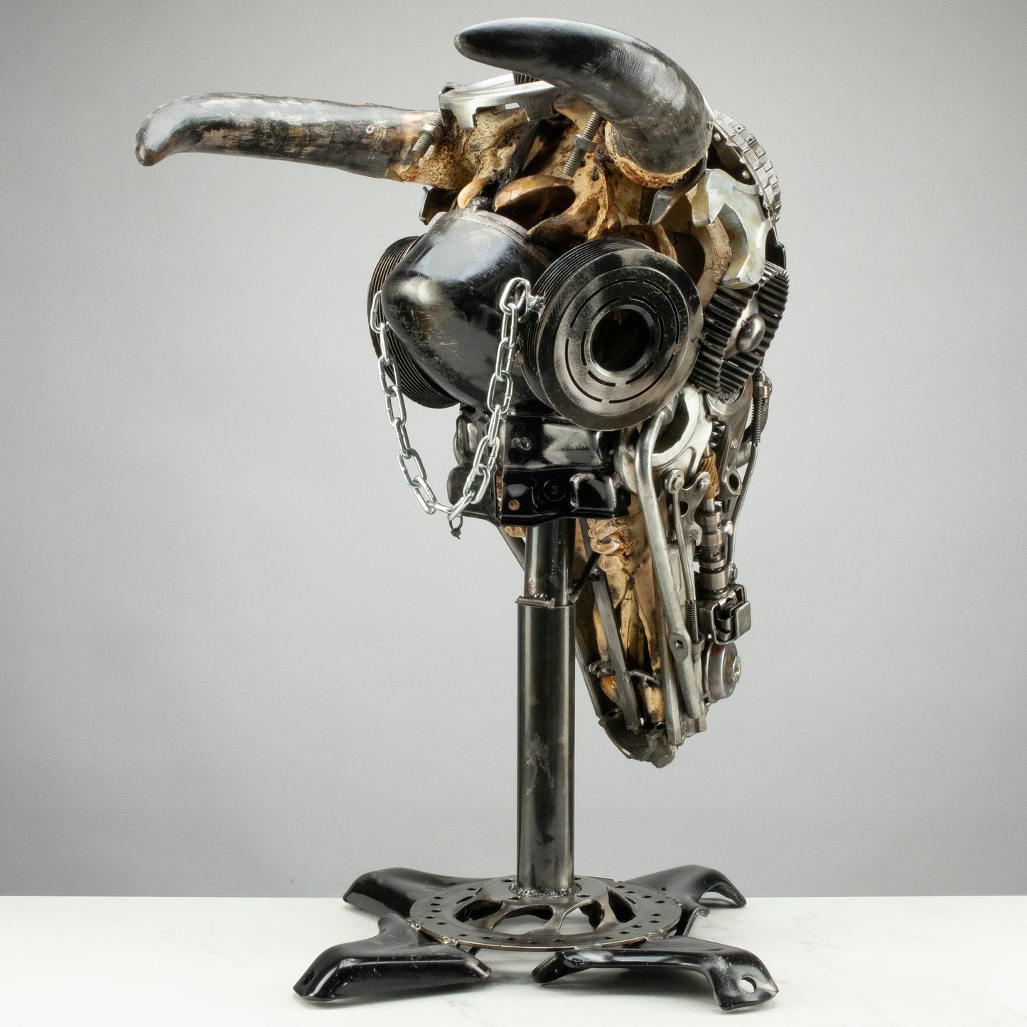 Bull skull S159 detail
