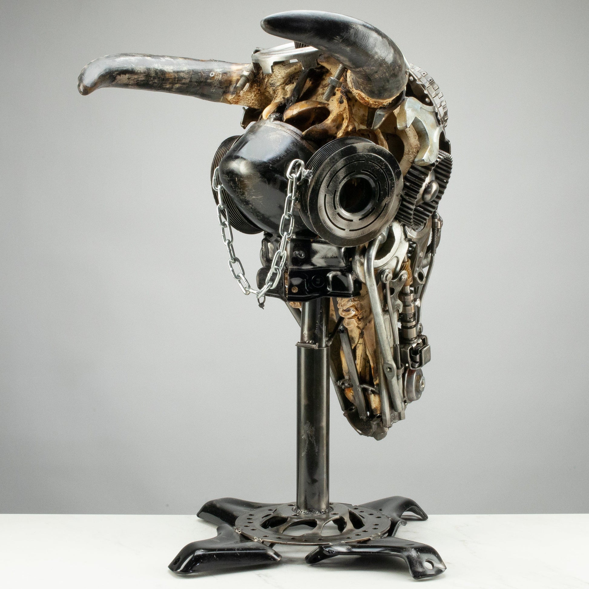 Bull skull S159 detail