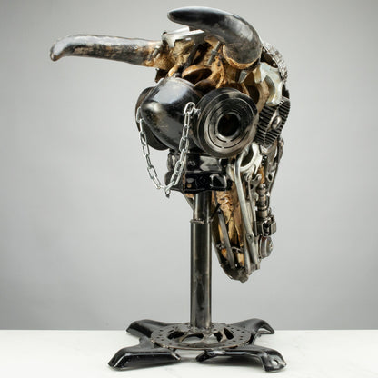 Bull skull S159 detail
