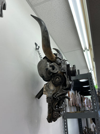 Bull skull S162 side view