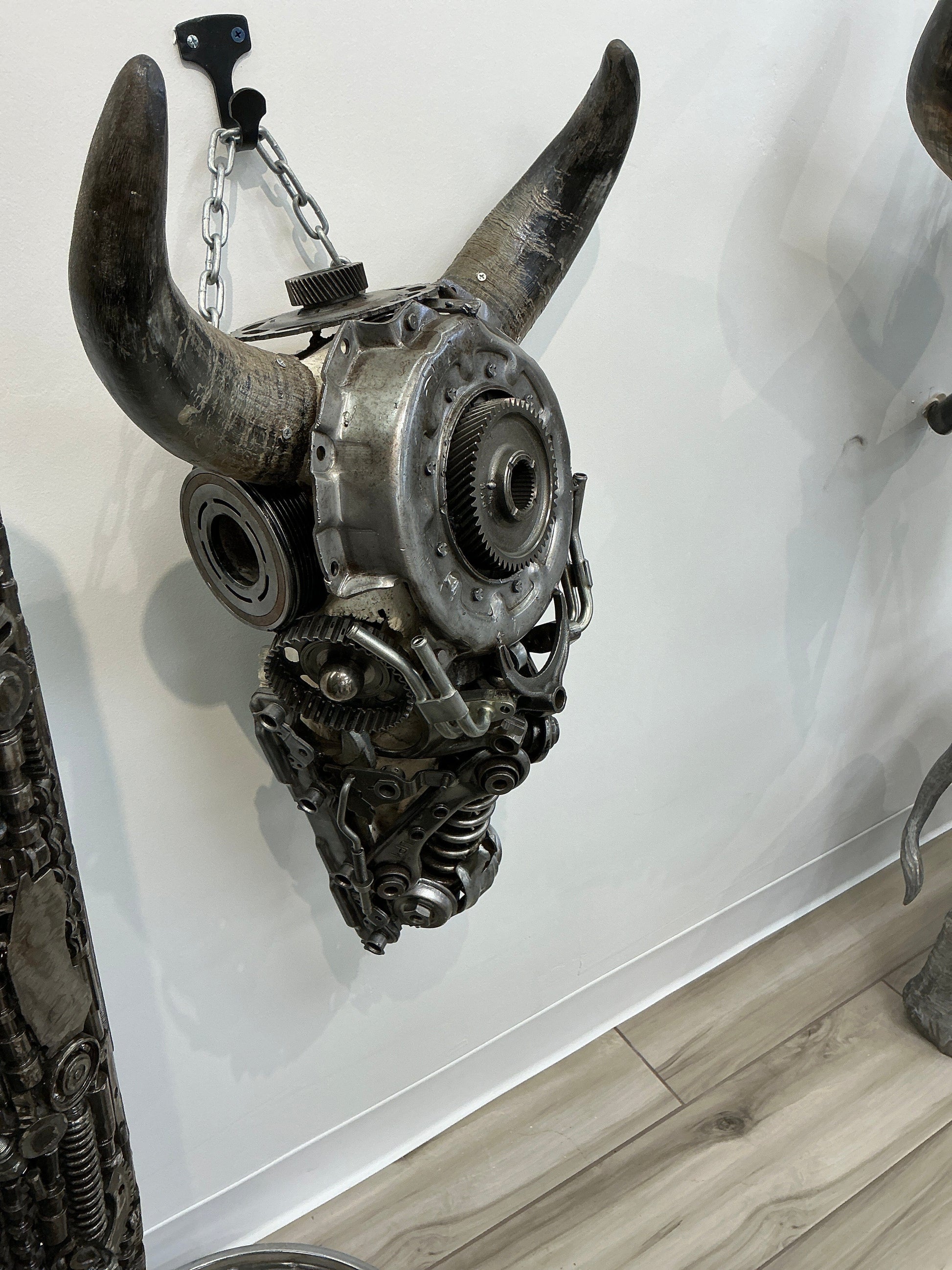 Bull skull S177 detail