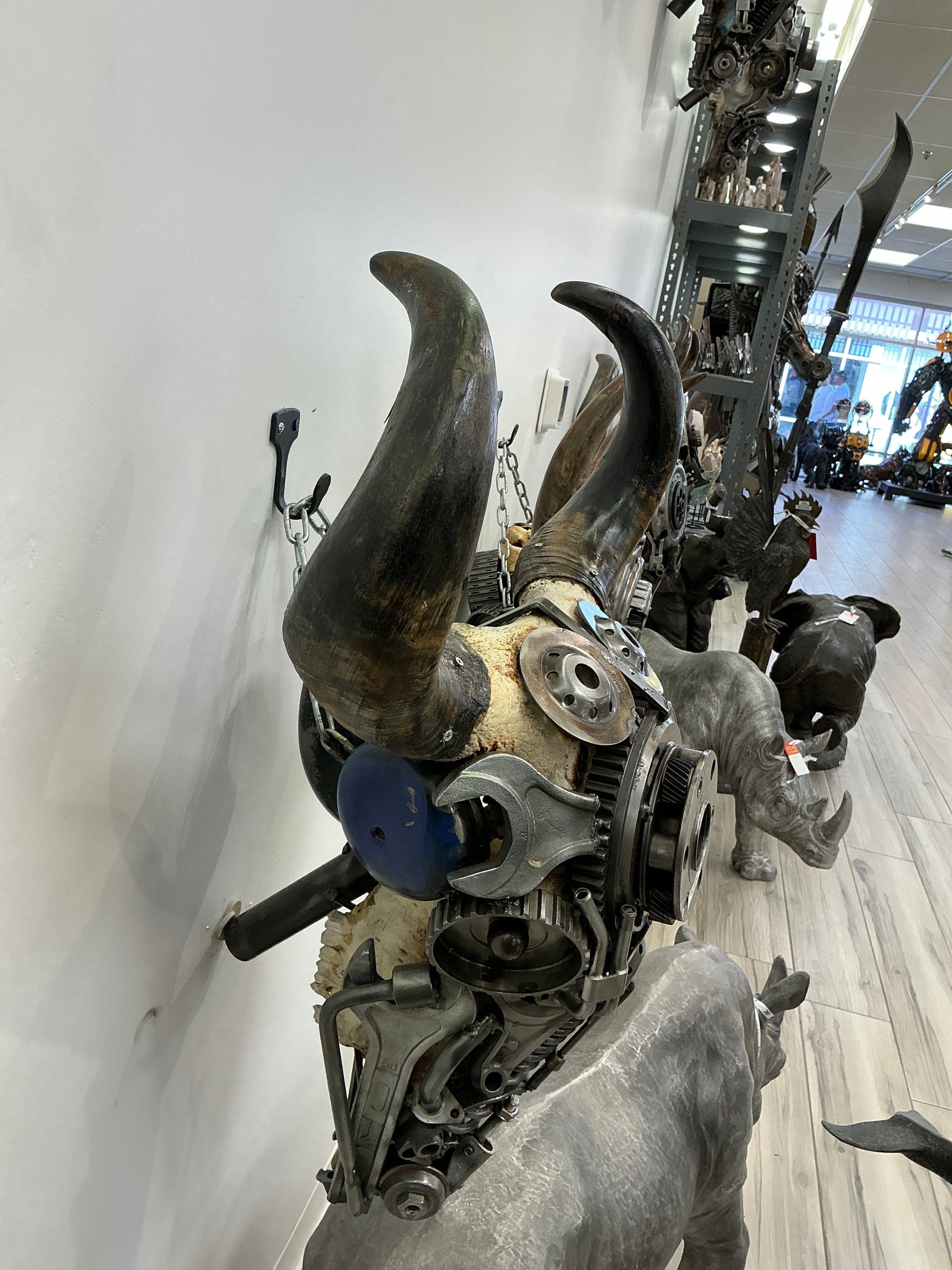 Bull skull S199 angle view