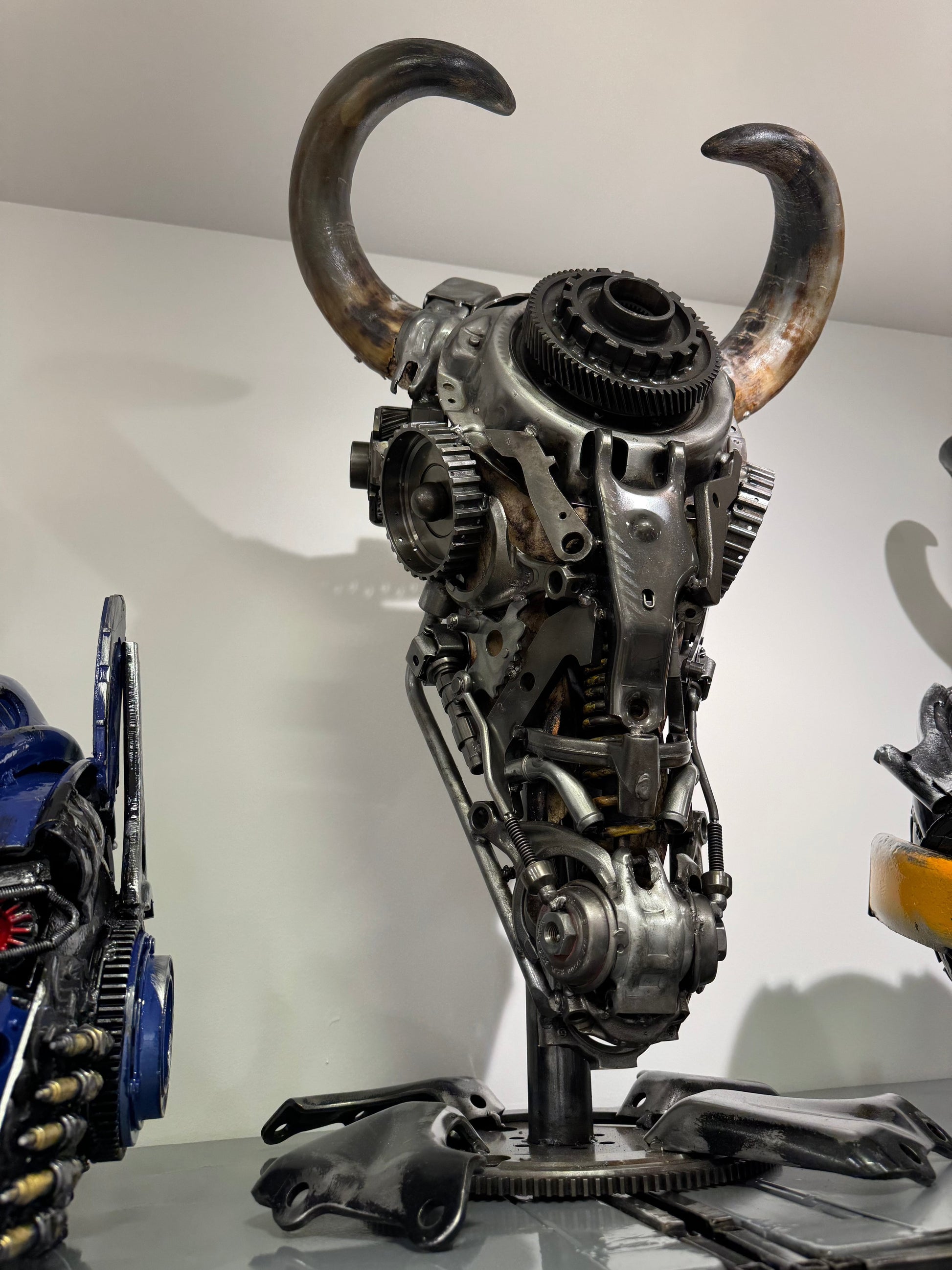Bull skull S211 detail