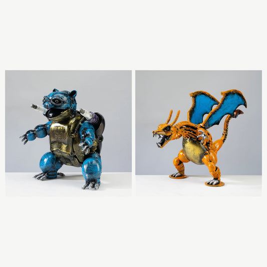 Water & Fire Pokémon Power Up — Blastoise and Charizard bundle — Vault 88